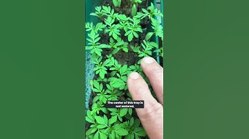 Calling all farmers and gardeners! Comment BLOCKER for the link or tap the shop: 🌱Soil blocker