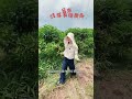 前情提要.... #健康女神 吃飯加了神祕粉末 答案揭曉.....