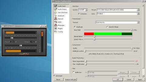 LOUDMAX VST PLUGIN AGC for MUMBLE INPUT