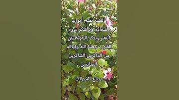 دعاء الصباح 🤲 أذكار الصباح 🤲 حالات واتس 🤲 صباح الخير 🤲 صباحيات 🤲 #صباح_الخير #دعاء_الصباح