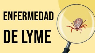 ¿Cómo se diagnostica y TRATA la enfermedad de Lyme? SÍNTOMAS + recurrentes