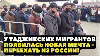 У таджикских мигрантов появилась новая мечта - переехать из России!