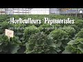 Normandie  horticulteurs ppiniristes des mtiers au contact du vgtal et de la nature