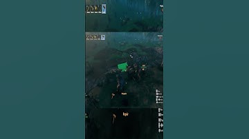 I have a question! (Valheim funny moments)