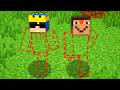 I LOST PARTS OF MY BODY in Minecraft!