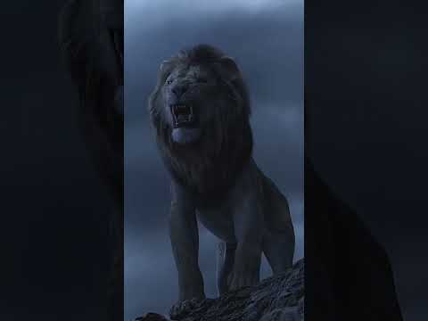 شوفوا جبروت وعظمة الأسد سبحان الله العظيم
