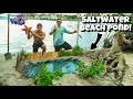 DIY EXOTIC BEACH FISH POND!! *Insane*