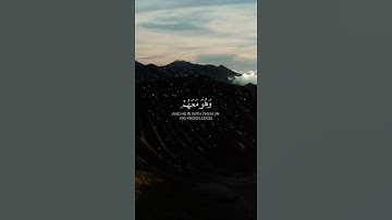 قران كريم سورة النساء القارئ عمير شميم تلاوة هادئة مريحة #قرآن #quran #coran #راحة_نفسية #اكسبلور