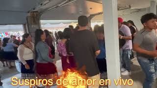 Suspiros de amor en vivo   Tf 5088183359