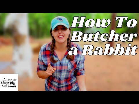 HOW TO BUTCHER RABBIT FOR MEAT. Walking you through how we harvest rabbits for meat on our homestead