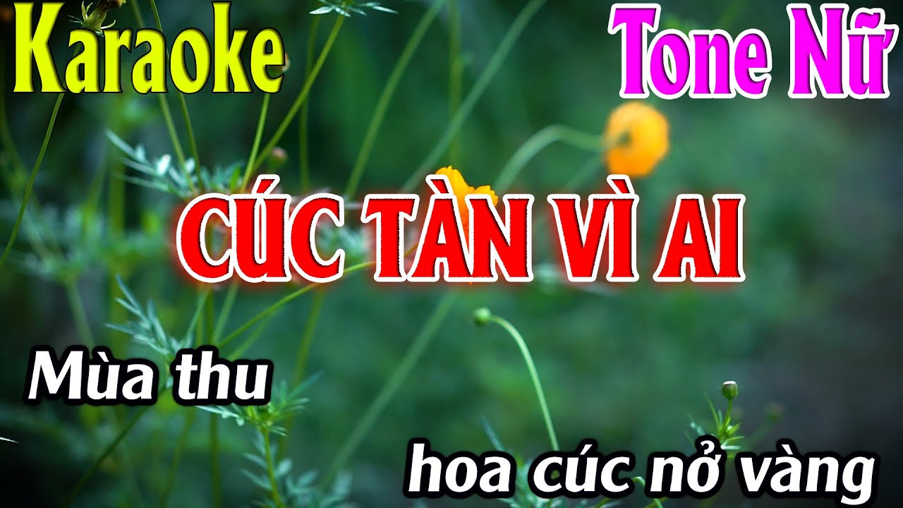 Karaoke Cúc Tàn Vì Ai Karaoke Tone Nữ Beat Chuẩn Nhất 2025 Karaoke Thanh Kiệt