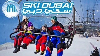Snowboard Trip to Dubai
Hello to you travelers, this time was time for some fun in Dubai, I gather some friends and we went to the Mall of Emirates for some snowboarding. The videos is not in a very good quality as the usual ones that I make but I hope you like it, I will be posting more things like this things I do in Dubai, the place I live.
Let me know about your experience in this city and what could I have done that you dont see on the video. For sure next time I will be doing that!
Follow me at:
YouTube ➞ http://www.youtube.com/CitiesoftheWorld
WordPress ➞ http://www.citiesoftheworldblog.wordpress.com
Facebook ➞ http://www.facebook.com/CitiesOfTheRealWorld
Twitter ➞ http://twitter.com/TheWorldCities
Instagram ➞ http://instagram.com/citiesoftherealworld
Brief description about the place:
Ski Dubai is an indoor ski resort with 22,500 square meters of indoor ski area. It is a part of the Mall of the Emirates, one of the largest shopping malls in the world, located in Dubai, United Arab Emirates. It was developed by Majid Al Futtaim Group, which also operates the Mall of the Emirates.
Music: That Feeling - HookSounds
Thank you for watching! Snowboard Trip to Dubai