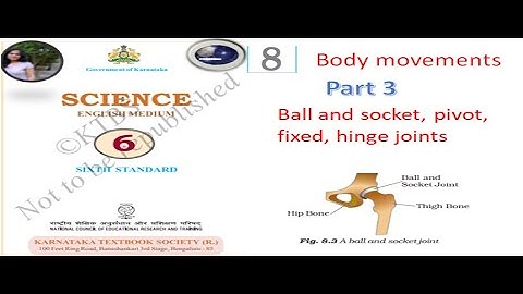 chapter 8 body movements part 3