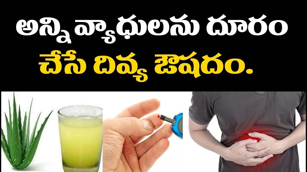సర్వరోగ నివారిణిగా అయిన కలబంద..! Top 6 Health Benefits of Aloe Vera