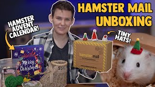 More New Toys For Lemonade!  Hamster Mail Christmas Box