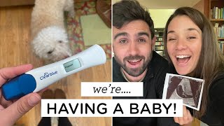 WE&#39;RE HAVING A BABY ✨ life update &amp; more