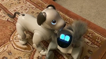 KEYi Technology Your Loona Petbot New Robotic Pet More Programming & Hand Reactions   #loona