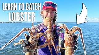 HOW TO CATCH LOBSTER with Net and Tickle Stick Free Diving