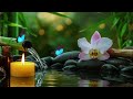 Relaxing Music for Sleep, Focus and Healing 🌿 Calming Nature Sounds for Work, Meditation and Peace