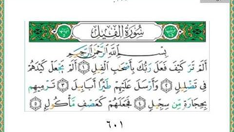 105-سورة الفيل ياسر الدوسري