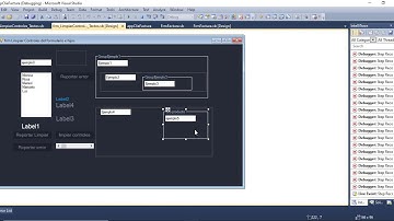 como limpiar Textbox avanzado en vb2010.net how clear textbox avanzado