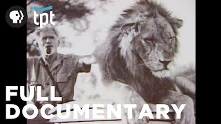 Follow Lions Through The Kenyan Jungle | Full Documentary screenshot 4