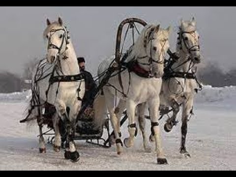 Эх летите кони птицей Музыка Виктора Хоборова слова Владлены Денисовой