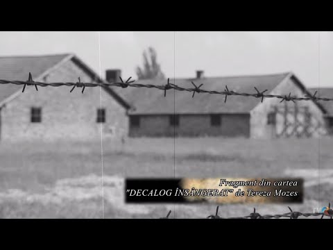 Video: Memorialul Holocaustului din Berlin pentru evreii uciși din Europa