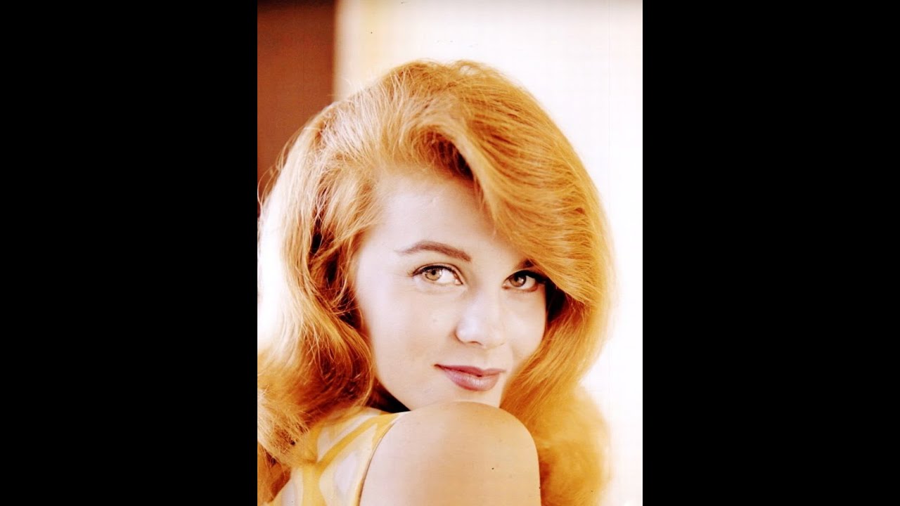 Hear Ann-Margrets Transformation From Singer to Actor in Her Definitive Collection REBEAT Magazine