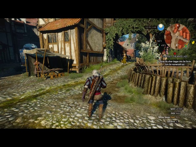 The Witcher 3: Wild Hunt - Novigrad browsing and a field trip class=