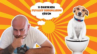 KÖPEĞİNİZE 15 DAKİKADA TUVALET EĞİTİMİNİ NASIL VERİRSİNİZ !  Köpeklerde Tuvalet Kazalarına SON