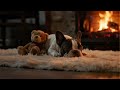 Soft Music for Dogs to Sleep 😴 | Peaceful Night Sounds
