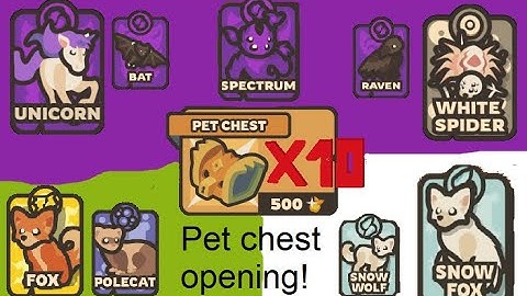 LEGENDARY Opening of 10 pet chests in Taming.io! What i got?/Taming.io/Drakish