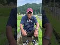 米について #お米 #農業 #設楽町 #町おこし