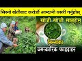       commercial sniffing farming in nepal  krishi sandesh