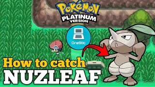 How To Catch Nuzleaf In Pokemon Platinum