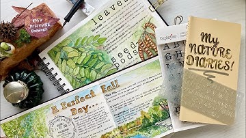 Beginner Handwriting Tips, Tools and Hacks for your Nature Journal