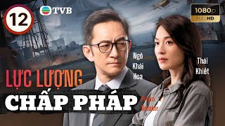 Phim TVB lồng tiếng Lực Lượng Chấp Pháp (Prism Breaker) 12/25 | Huỳnh Tông Trạch, Ngô Khải Hoa |2025