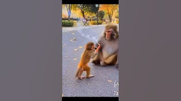 Why are you crying 😱 #funny #comedymove #funnyimages #duet #comedysc #comedy #comedyforever