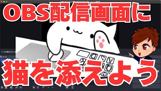 [2025 Latest] A cute cat that moves with OBS! Learn how to use Bongo Cat! [OBS Beginner's Guide]