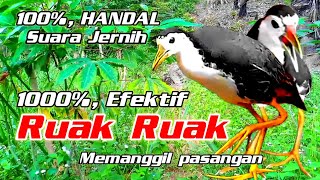 SUARA BURUNG RUAK RUAK || MEMANGGIL PASANGAN✓|| 1000% EFEKTIF ||