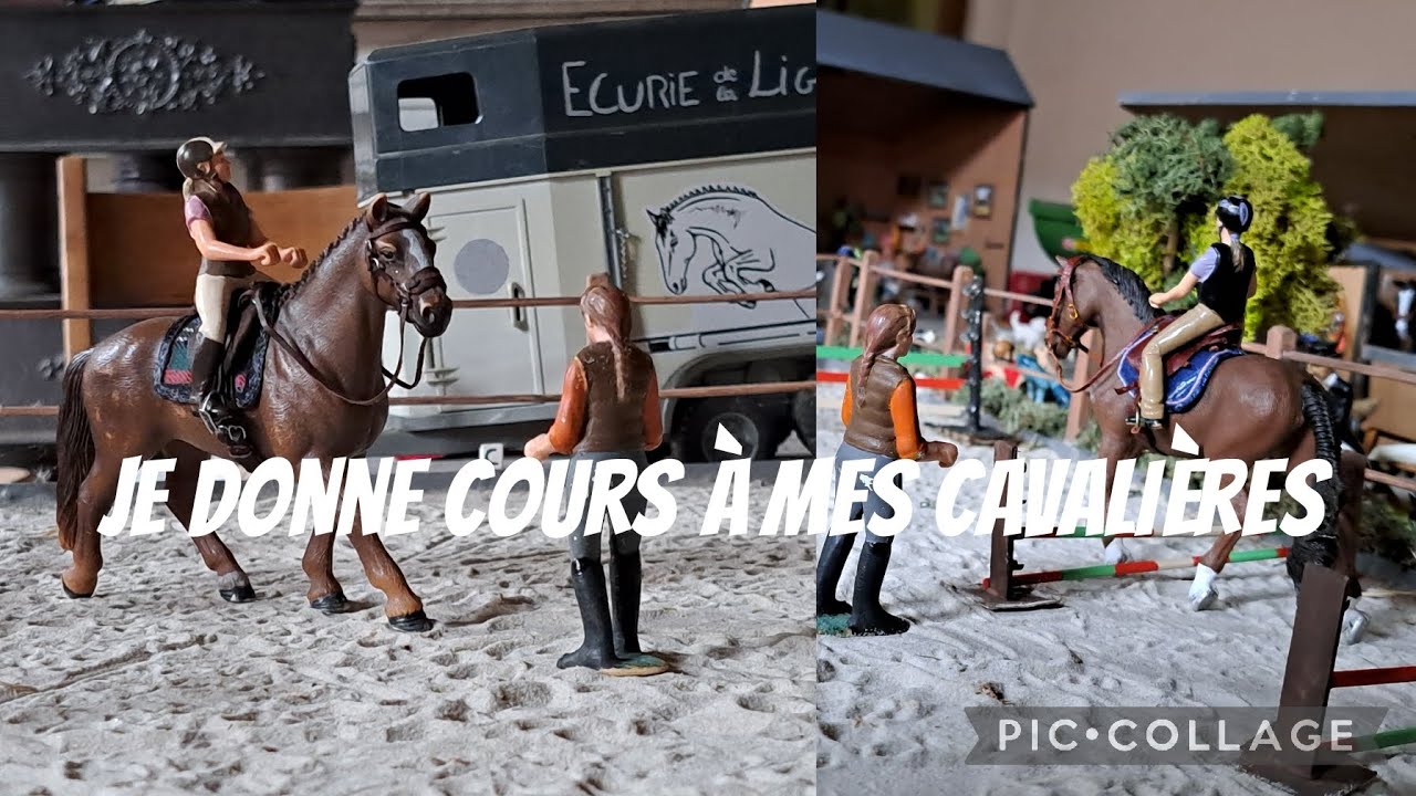 {vie d'écurie} 3 cours en 1 journée🏇