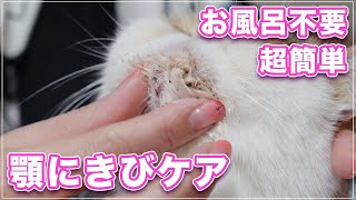 【顎ニキビ】え？！お風呂不要で超簡単な顎ニキビケア【エキゾチックSH】