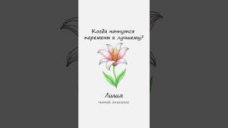 Расшифровка в моем сообществе ВКонтакте. ССЫЛКА В ШАПКЕ ПРОФИЛЯ #таро #гадание #онлайн