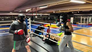 Sparring ( 8 March 2024 )