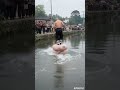 Funny, my rural life, original, confusing behavior of animals, boo absurd videos