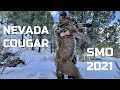 COUGAR HUNT WITH DOGS - SMO 2021