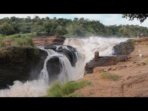 Video: Versand Von Murchison Falls: Führung Eines Der Intensivsten Flüsse Der Welt - Matador Network