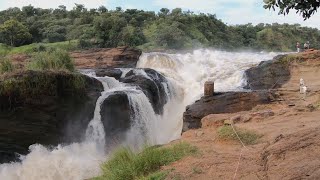 Fluss-Safari Auf Dem Weissen Nil Und Wanderung Zu Den Murchison Fällen Uganda 2019 4K-Video