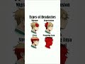 Spy X Family Meme Part 6 Spyxfamily Anime Animememes Shorts Damian Loidforger Anyaforger